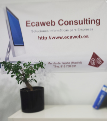 Ecaweb Consulting - Filosofía del Software de Gentión ECAGEST